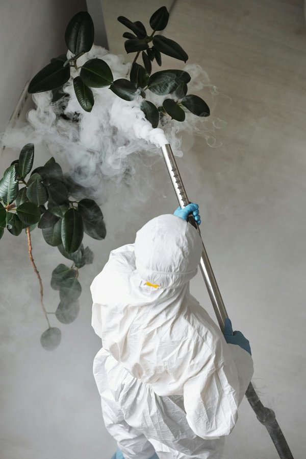 Expert anti nuisibles drôme : solutions rapides et durables